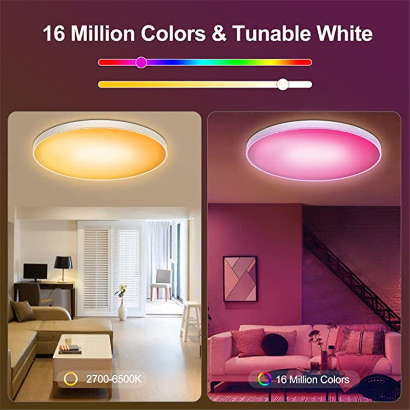 Angelila Smart LED Ceiling Light 30W 12-inch Surface Mount Ceiling Light Fixture Compatible with 2.4G WiFi APP , Smart led Ceiling Lamp can Control with Alexa Google Home for Bedroom Children Room
